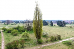 DCIM100MEDIADJI_0074.JPG