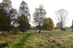 moorenbrunnfeld-1024x614